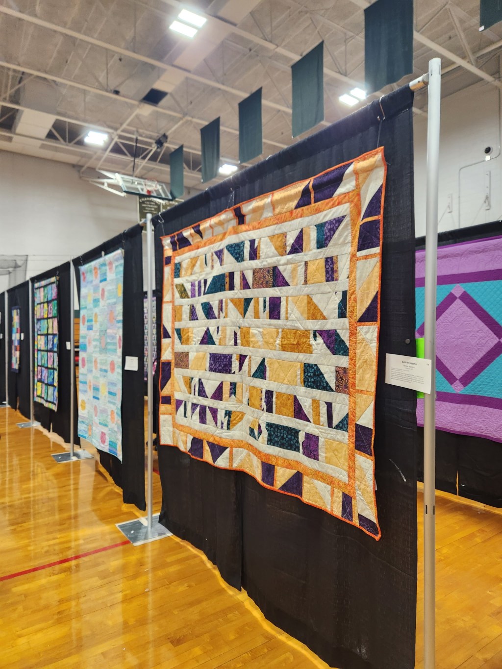 Quilts 250                        2025 International&nbsp;Show